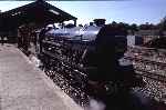 Romney's ‘Samson’ stands in strong sunshine at Aylsham station with a departure for Wroxham   (05/08/1990)