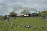 ‘Palmerston’ drags the Victorian train and the Funkey up Gwyndy Bank in the sunshine.       (01/05/2005)