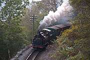 ‘Palmerston’ runs round Tyler’s Curve with a short Quarrymen’s train.       (16/10/2005)