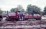 ‘Irish Mail’ with a load of wood for a nearby steam powered saw   (02/05/1993)