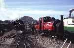 ‘Palmerston’, ‘Prince’ and ‘Conwy Castle’ at Pen Cob   (02/05/1993)