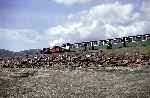 ‘Palmerston’,, ‘Prince’ and ‘Conwy Castle’ set off along the Cob with a down train   (02/05/1993)