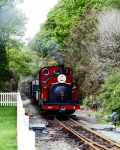 ‘Prince’ runs in to Tanybwlch with a rake of freight wagons   (04/05/2003)