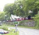 ‘Stanhope’ and ‘Prince’ roll down through Rhiw Plas in copious quantities of ‘Welsh Sunshine   (04/05/2003)
