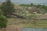 ‘Moel Hebog’ runs into Dduallt station with carriage 110 as the Gelliwiog Shuttle       (06/05/2007)