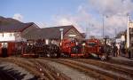 Locomotive line-up at Porthmadog Harbour station   (12/10/2002)