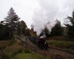 Palmerston pushes a rake of slate wagons and goods vehicles into Dduallt siding   (13/10/2002)