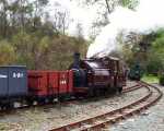 Palmerston with a short rake of goods wagons in Dduallt siding   (13/10/2002)