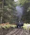 ‘Earl of Merioneth’ runs round the curve between Rhiw Goch and Cei Mawr with an up train.   (26/09/2004)