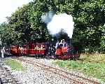 ‘Alice’ & ‘PC Allen’ storm past the shed with the 11:50 departure from Pages Park.   (07/09/2003)