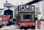 ‘Edward Thomas’ stands outside the shed in the evening, Tywyn Pendre   (30/07/1981)