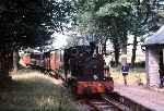 ‘Edward Thomas’ arrives at Rhydyronen with an up train   (01/08/1981)