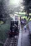 ‘Talyllyn’ draws into Rhydyronen with an evening train   (02/08/1981)