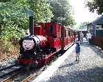 ‘Duncan’ has an admirer at the top end of Abergynolwyn station.   (01/08/2001)