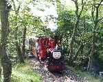 No 6 ‘Duncan/Douglas’ runs through the woods as it departs from Dolgoch with an up train.   (23/09/2001)