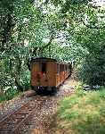 An up train heads towards Quarry Siding through the woods, just east of Dolgoch station.   (29/09/2003)