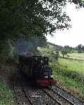 ‘Talyllyn’ rolls into the loop at Brynglas with the up ‘Quarryman’.   (29/09/2003)