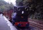 ‘Talyllyn’ awaits departure time at Nant Gwernol with the down vintage train   (23/09/2001)