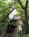 ‘Talyllyn’ crosses Dolgoch viaduct with a run past for the photographers on the train   (23/09/2001)