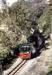 The inaugural train runs through the trees as it departs from Caernarfon station   (13/10/1997)