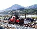 Taking water at Rhyd Ddu, ‘Prince’ with an alpine backdrop   (28/09/2003)
