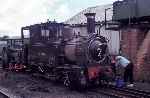 ‘Countess’ under maintenance out in the open at Llanfair   (08/09/1990)